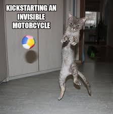 Image result for invisible cat