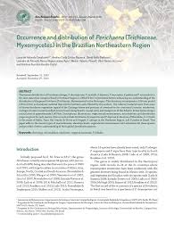 Attēlu rezultāti vaicājumam “Perichaena corticalis sessile”