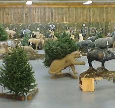 Image result for Dover Castle Archery Club