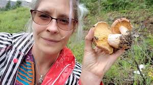 Attēlu rezultāti vaicājumam “Lactarius deterrimus”