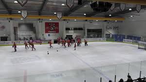 Image result for Telford Tigers