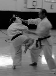 Image result for Redhill Karate Association