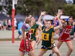 Image result for Civil Service (Ipswich) Netball Club