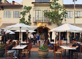 Attēlu rezultāti vaicājumam “Nola sp.”