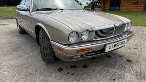 Image result for Titanium Pearl 1995 Jaguar