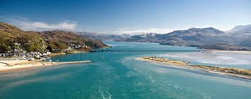 Image result for North Wales Boccia