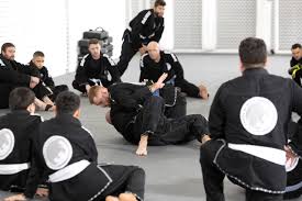 Image result for Daniel Gracie Academy
