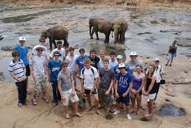 Image result for pinawella