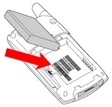 battery compartment