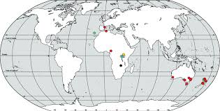 Attēlu rezultāti vaicājumam “Sphacelotheca hydropiperis”