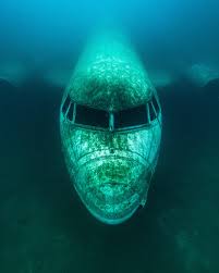 Image result for Droylsden Sub Aqua Club