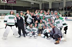 Image result for York University Hockey Club