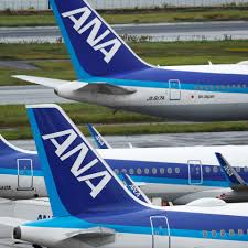 Image result for ana