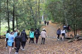 Image result for Wey Adventure Group