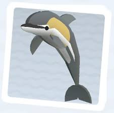 Image result for Adventure Dolphin