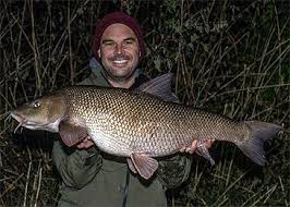 Image result for Barbus barbus