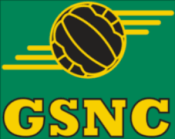 Image result for Gateshead Netball Club