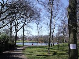 Image result for Moseley Ashfield Cc