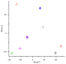 Attēlu rezultāti vaicājumam “Pseudobryum cinclidioides cells”