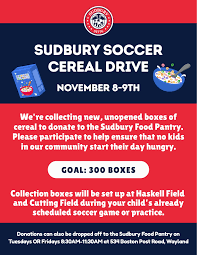 Image result for Sudbury Tchoukball Club