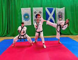 Image result for Alness Tang Soo Do