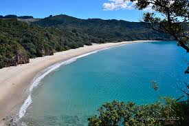 Image result for new chums beach