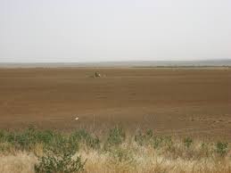 Image result for site:waralbum.ru