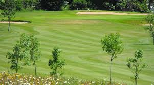 Image result for Henley Golf Club