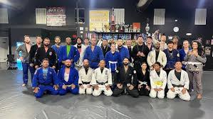 Image result for Revolution Dojo