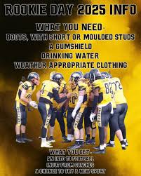 Image result for Chiltern Cheetahs American Football Club