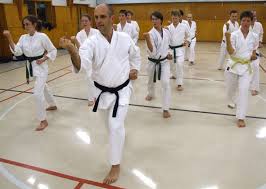 Image result for Sandokai Karate