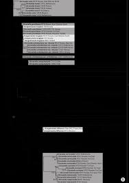 Attēlu rezultāti vaicājumam “Dicranella staphylina cells”