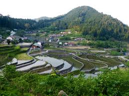 Image result for tanada