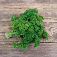 Image result for Petersilie
