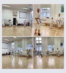 Image result for Devonport Shotokan Karate Club