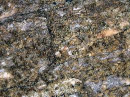 Attēlu rezultāti vaicājumam “Chaenotheca phaeocephala”