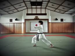 Image result for enpi dojo