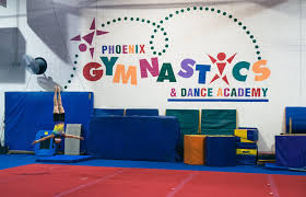 Image result for Phoenix Acro Gymnastics Club