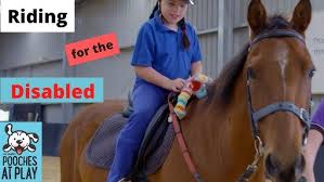Image result for Riding For The Disabled