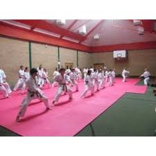 Image result for Aylesbury Vale Seido Karate