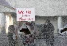 Josh Healey » Blog Archive » Occupy that Next Level: Four Ideas ...