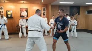 Image result for Chikara Dojo Of Kyokushin Karate