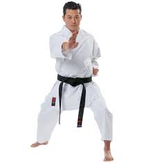 Image result for Karate Wado Kai