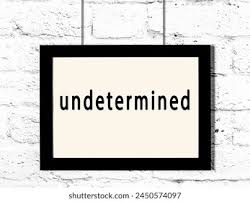 Attēlu rezultāti vaicājumam “undetermined”