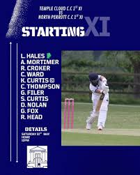 Image result for Temple Cloud Cricket Club