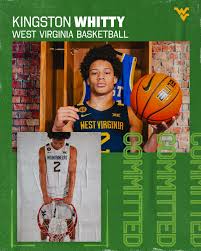 Image result for Kingston Wildcats Basketball Club