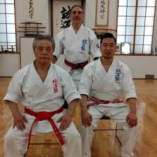 Image result for Junsui Shotokan Karate Do