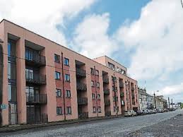 Image result for Louth Velo