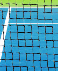 Image result for Northern Lawn Tennis Club Ltd