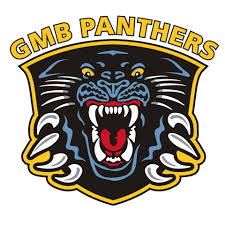 Image result for Nottingham Panthers